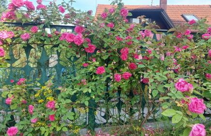 Kuća za odmor ,Erdelj 21 B - Foto 43