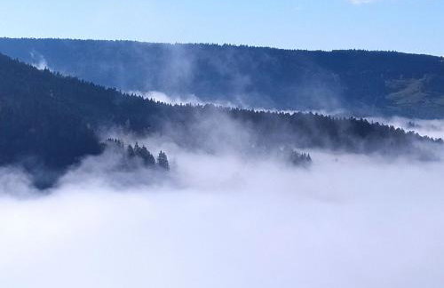 Chalet 3 étoiles avec sauna près de La Bresse - FR-1-589-18 - Foto 9