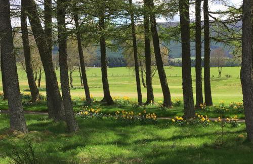 Strathallan - Luxury 3 Bedroom Apartment, Gleneagles, Auchterarder - Photo 8