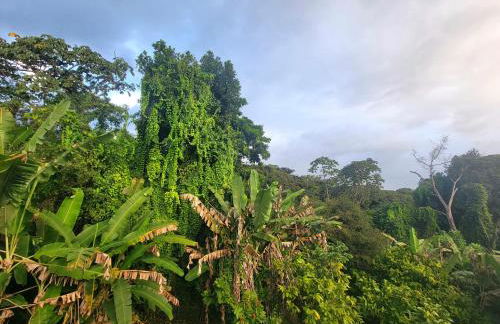 Casa na Praça de Serra Grande - Photo 3