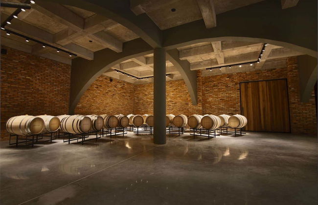 Tour del vino por el Vale dos Vinhedos - Foto 6