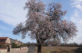 Villa Sole - Foto 75