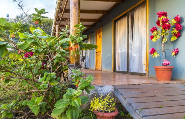 Cabañas Henua Iti - Foto 55