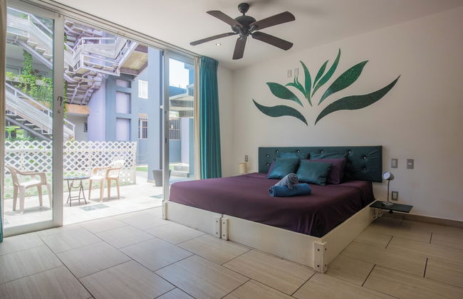 IRIS Studios & Apartments - Photo 13