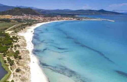 Under the Lemon Tree - Foto 25