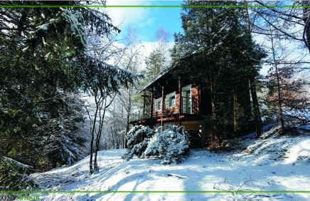 Domek Zielony Widok - noclegi Bieszczady - Foto 51