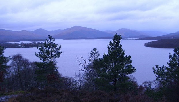 Stirling Castle, Loch Lomond and Cruise - Small Group Tour - Photo 3