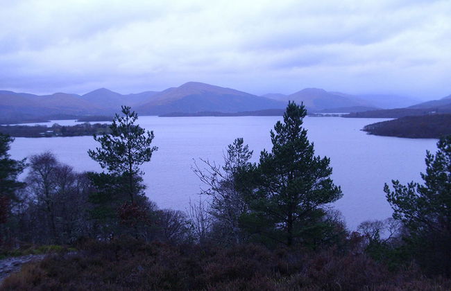 Stirling Castle, Loch Lomond and Cruise - Small Group Tour - Photo 3