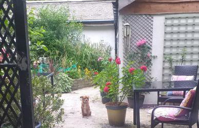 The LITTLE HOUSE in HULL - Foto 22