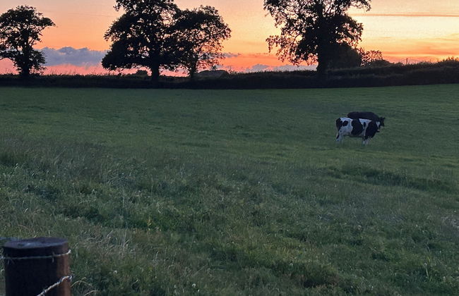 Cosy Devon Hut With Private Hot Tub - Foto 10