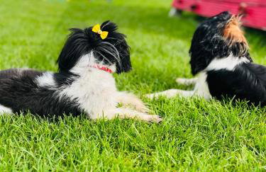 Holiday House Sarbinowo - Photo 52