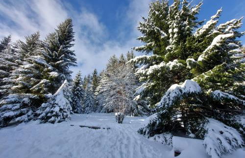 Haus Heidelberg - Foto 57