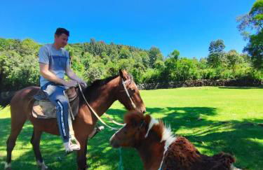 Cabin near Gramado with hydro and fireplace - Foto 38