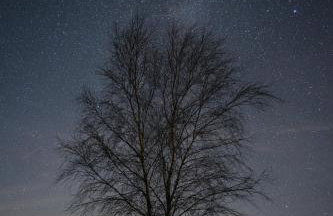 The Byre, Summerhill Farm Stays - Foto 25