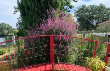 La Grenouillère - Foto 20