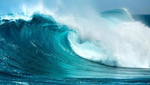 MARGHEhouse - Foto 3