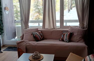 STUDIO le FOREST SKIS AUX PIEDS - Foto 6