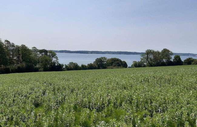 4 Person Holiday Home in Aabenraa - Foto 12