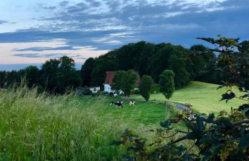 4-Zimmer Apartment auf Resthof - Foto 1