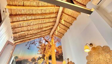 Recuerdos del Sur - Foto 2