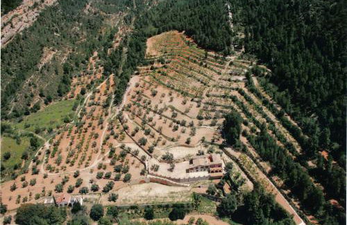 Mas de la Vall del Frare - Foto 49