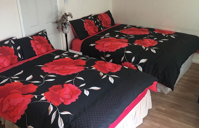 Martindale Flats with Parking - Foto 1