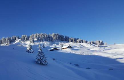 Appartement Verchaix 5min de Samoens Vallée Giffre - Foto 14