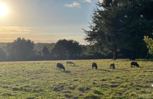 Les Hauts de Locmiquel apartment with private heated pool - Photo 52