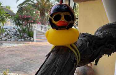 Hacienda De La Siesta - Photo 42