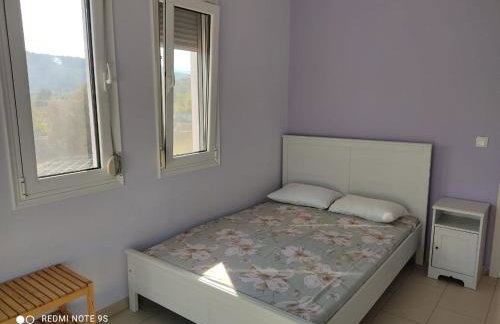 Fotis Apartments - Foto 51