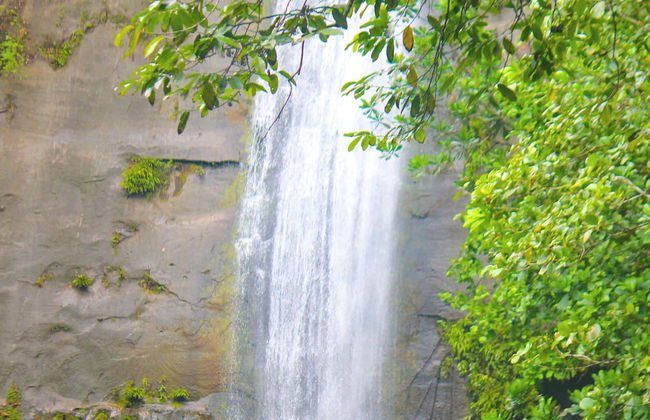 Excursion dans la baie de Malaga - Photo 3