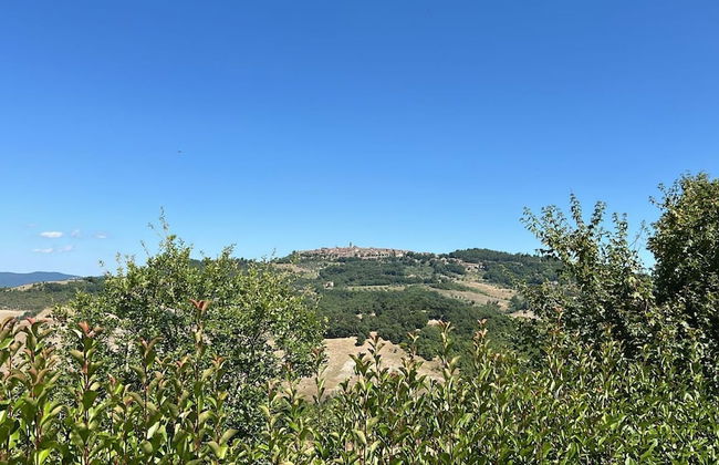 Marcigliana Cottage, Pool, Radicondoli - Foto 30