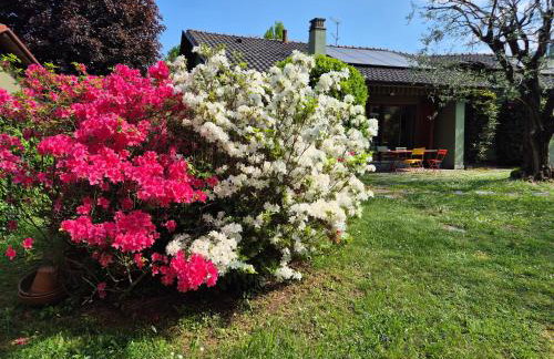 Casa Oliva - Foto 14