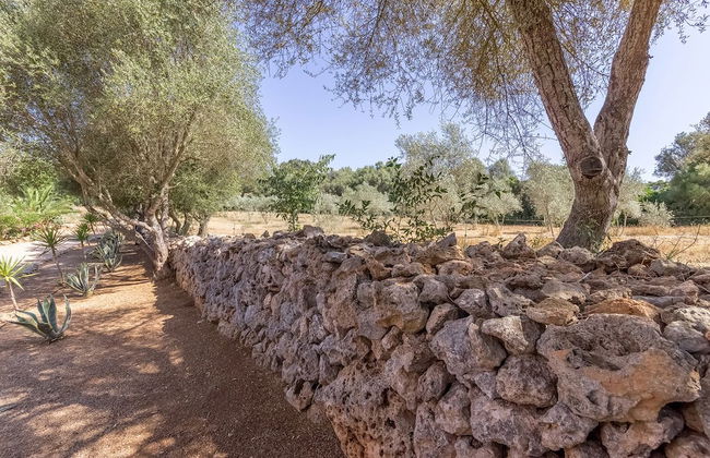 Casa Pina - Photo 22