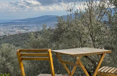 Admonis - Home in the olive grove - Foto 54