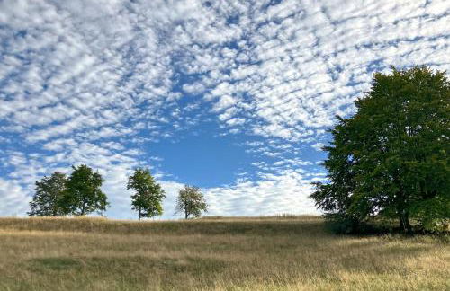 Ferienhaus Familien-Idyll Bibertalblick - Foto 25