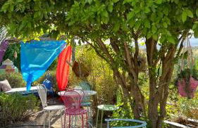 Monte da Freira - Foto 64