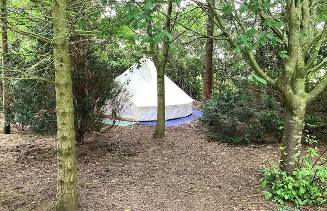 Woodlands Basic Bell Tent 2 - Foto 20