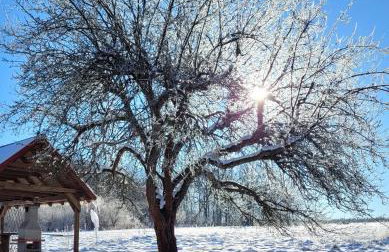 Na końcu dróżki - Foto 14