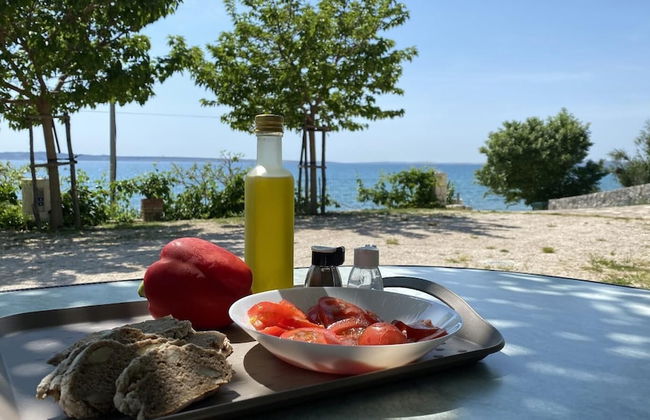 Kamp Miočić - Foto 47