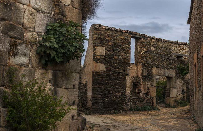 Excursion en 4x4 à Granadilla - Photo 1