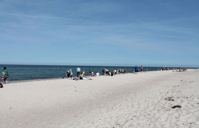 Cozy Apartment in Zingst Germany near Beach - Photo 17
