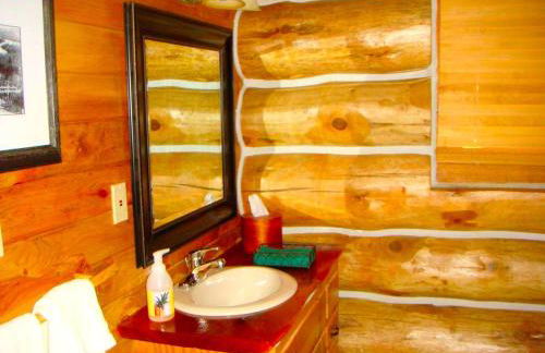 Custom-Built Family Cabin in Manistee National Forest, Michigan - Foto 18