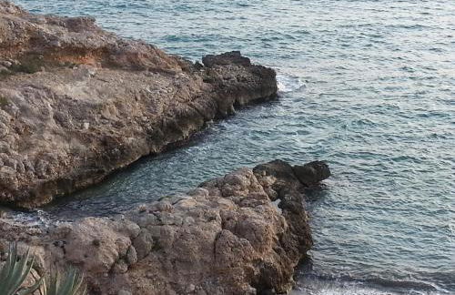 Tot Gaviota - Foto 29