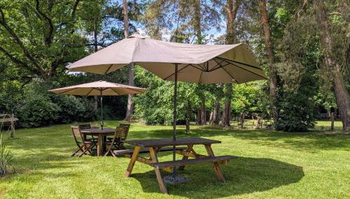 Le chalet des apiculteurs - Foto 4