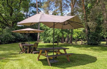 Le chalet des apiculteurs - Foto 4