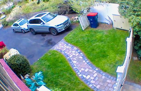 Clear Pond Suite - Photo 4