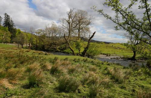 River Lodge - Foto 64