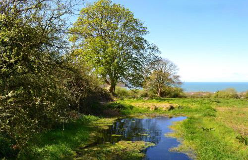 Rustic hideaway between Aberporth & Tresaith - Foto 30