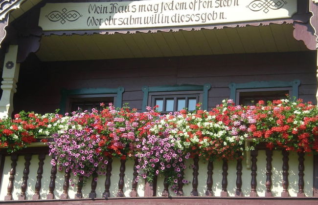 Renovated Mountain Retreat Stay - Foto 24